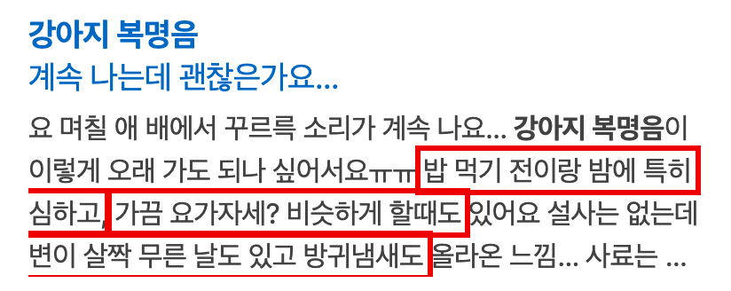 반려견 카페 글 요약 카드, 밥 먹기 전이랑 밤에 특히 심하다는 구절과 가끔 요가자세 비슷하게 한다는 구절과 변이 살짝 무른 날도 있고 방귀냄새도 난다는 구절에 빨간 박스