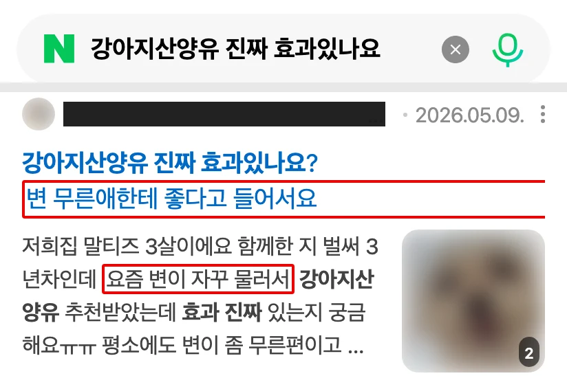 네이버 모바일 ‘강아지산양유 진짜 효과있나요’ 검색 결과의 카페 질문 글, 카페 이름은 검은 막대, ‘변 무른애한테 좋다고 들어서요’와 ‘요즘 변이 자꾸 물러서’에 빨간 박스