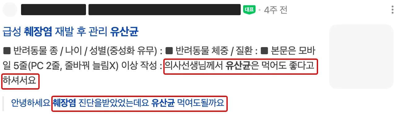 네이버 PC 통합검색 카페 글 한 칸. 카페·작성자 이름은 검은 막대로 가렸고 ‘의사선생님께서 유산균은 먹어도 좋다고 하셔서요’와 ‘췌장염 진단을받았었는데요 유산균 먹여도될까요’에 빨간 박스, 첫 박스 뒤 문장은 잘라 냄