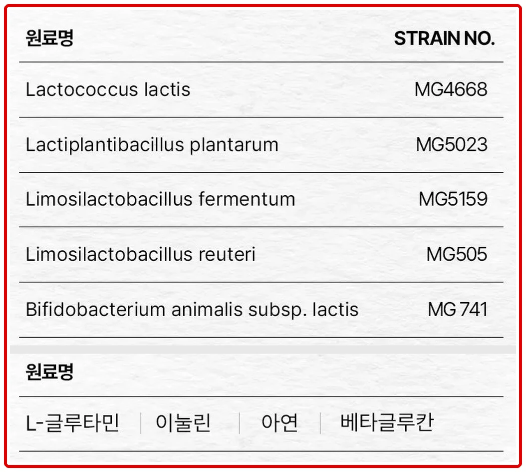 뮤코사케어 공식 원료표의 균 다섯 줄(이름·번호)과 원료명 줄(L-글루타민·이눌린·아연·베타글루칸)을 이어 붙이고 전체를 빨간 테두리 하나로 묶은 화면