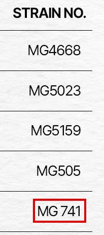 뮤코사케어 공식 원료표 STRAIN NO. 칸만 잘라 낸 화면, 맨 아래 MG 741에 빨간 박스
