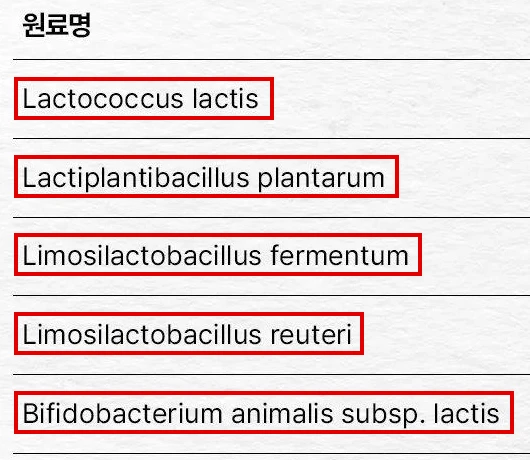 뮤코사케어 공식 원료표 위 칸, 균 다섯 줄 앞머리의 영어 학명에 하나씩 빨간 박스
