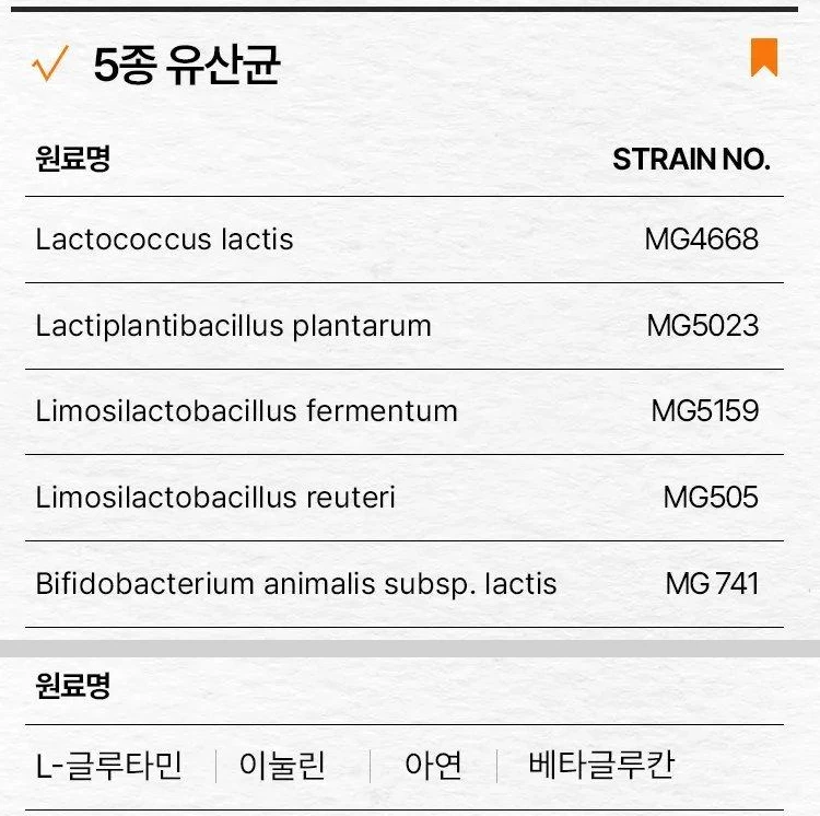 뮤코사케어 공식 상세 원료표 전체. 위 칸에 균 다섯 줄과 STRAIN NO., 아래 칸에 원료명 줄. 사이 소제목은 회색 띠로 잘라 냄