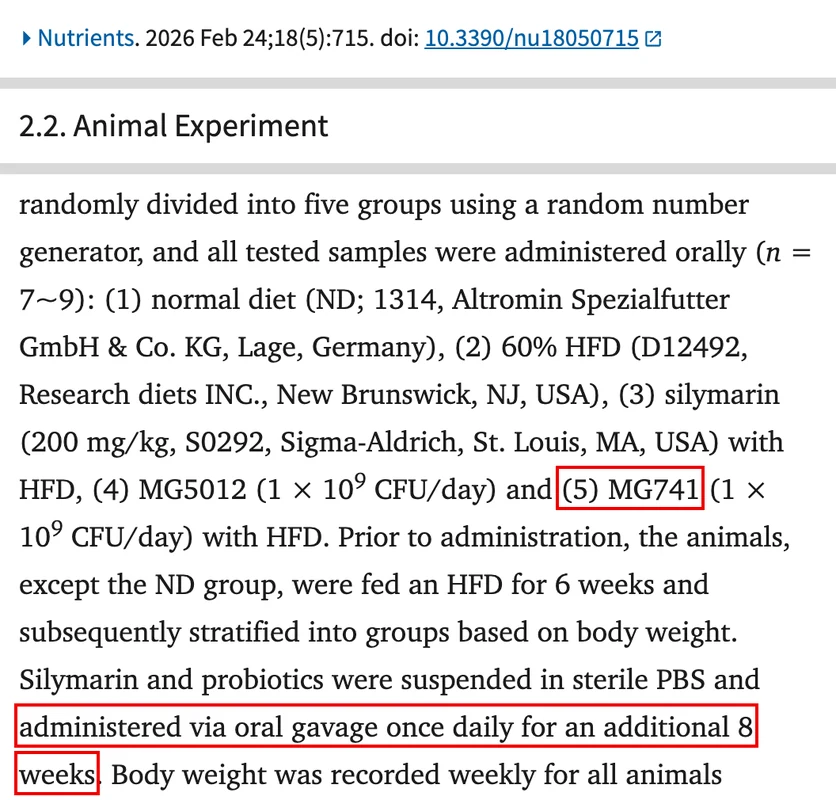 Jang 외(2026) Nutrients PubMed Central 화면. 2.2절 동물 실험 문단의 (5) MG741과, 하루 한 번 8주 더 먹였다는 구절에 빨간 박스