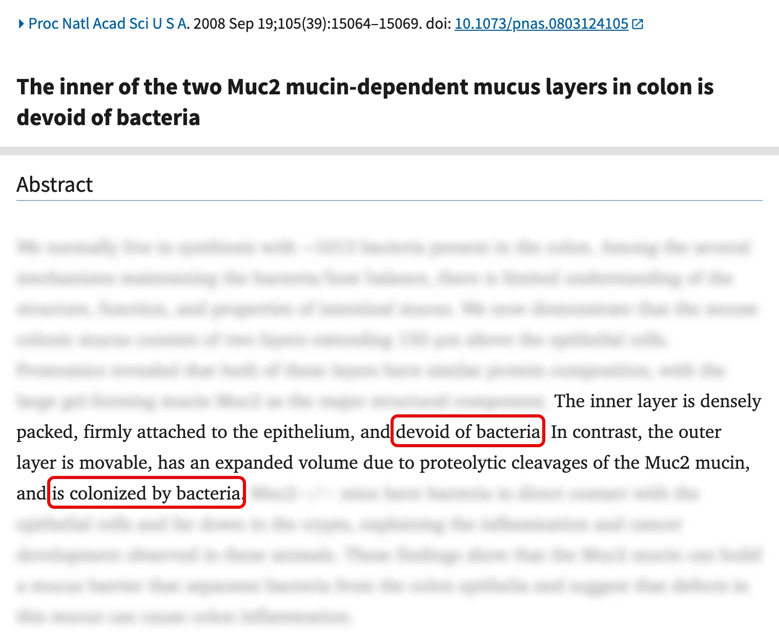 PubMed Central 논문 초록 화면, 안쪽 점액층에는 균이 없다와 바깥 점액층에 균이 자리 잡는다는 구절에 빨간 박스, 나머지 초록은 흐림