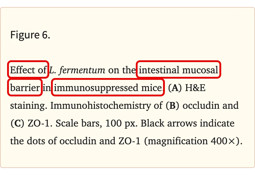 Kim 외(2023) Nutrients 논문 그림 6 설명. Effect of, intestinal mucosal barrier, immunosuppressed mice에 빨간 박스