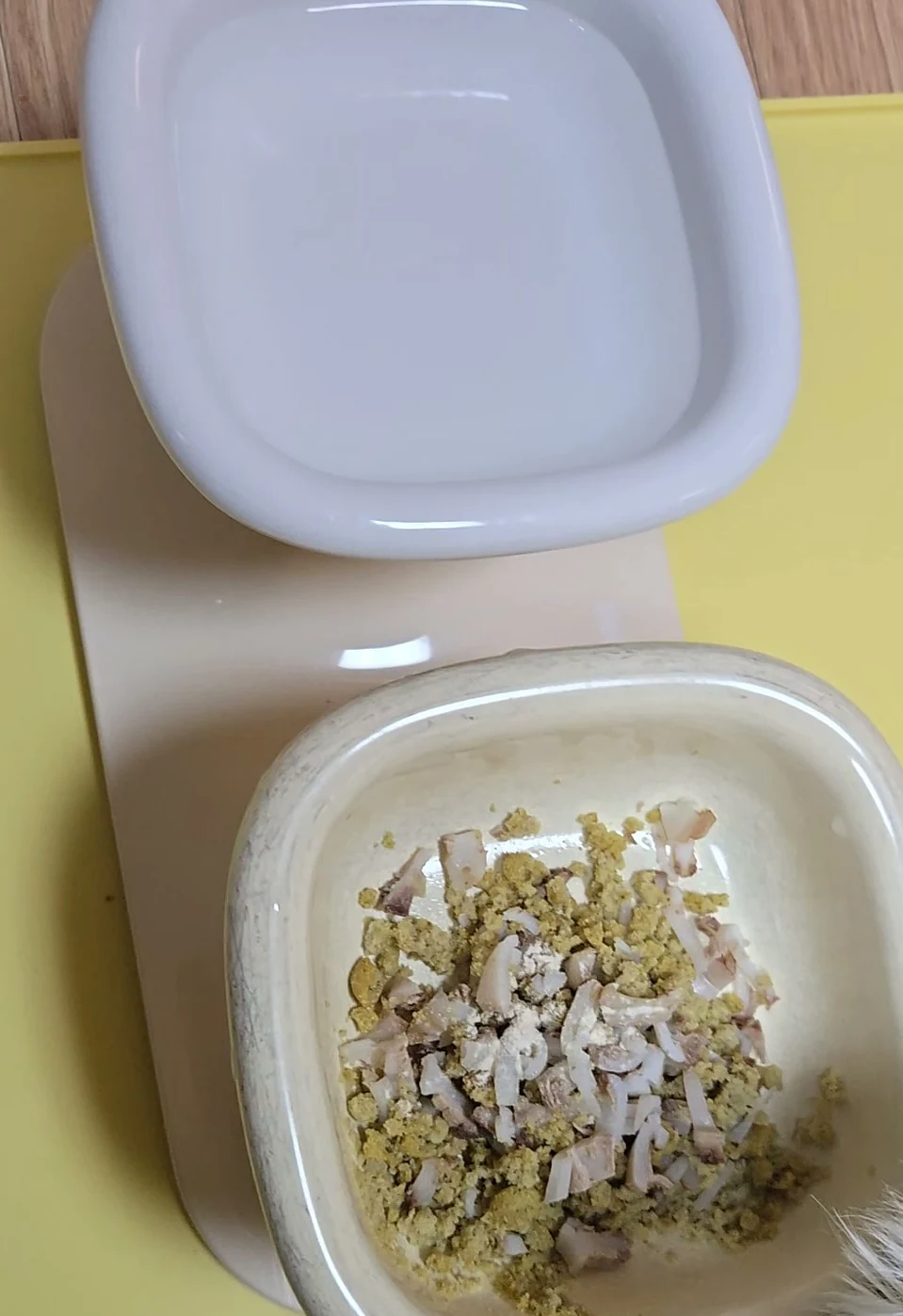 노란 매트 위 받침대에 놓인 작은 물그릇과 사료 그릇